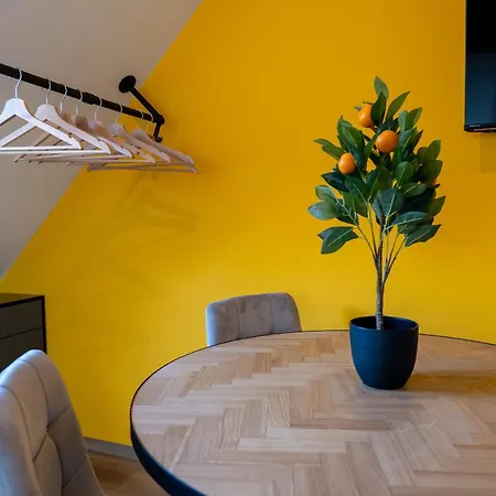 Mihalca Apartment